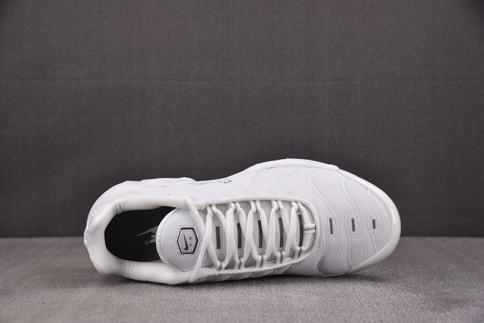 Nike Air Max Plus 