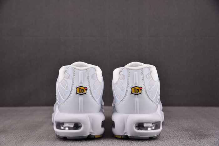 Nike Air Max Plus 