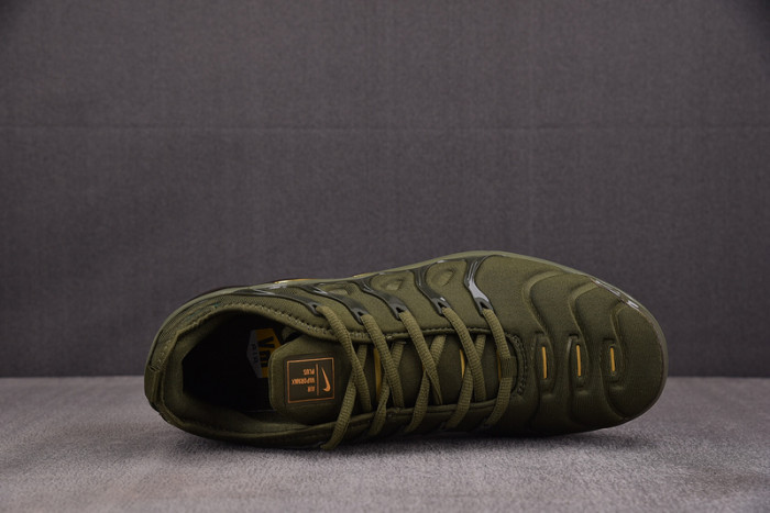 Nike Air VaporMax Plus