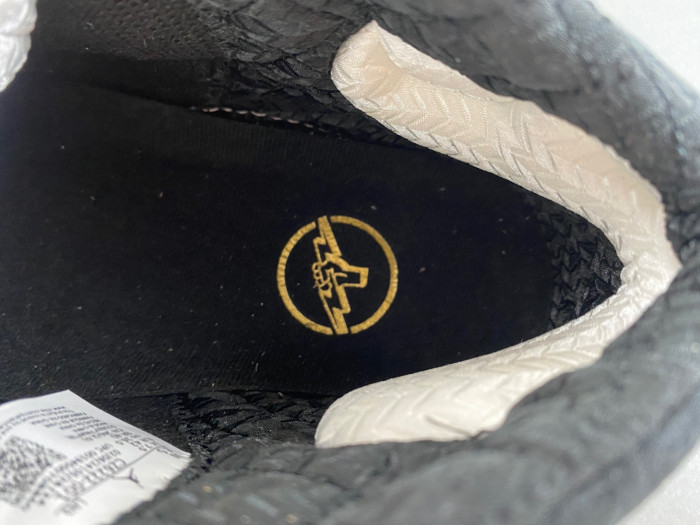 Titan x Air Jordan 23 Retro SP