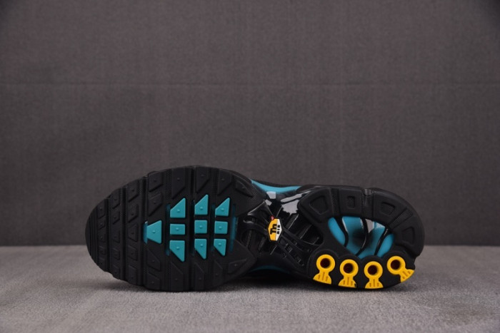 Nike Air Max Plus Black Aurora Green DM0032-016