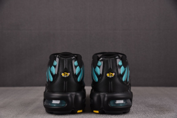 Nike Air Max Plus Black Aurora Green DM0032-016