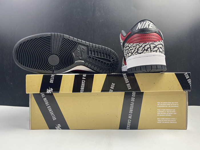 NIKE Dunk SB 313170-600