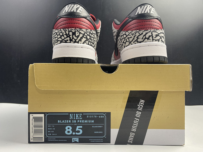 NIKE Dunk SB 313170-600