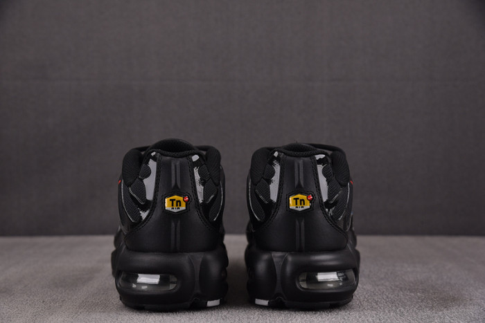 Nike Air Max Plus "Multi-Swoosh" | FJ4224-001