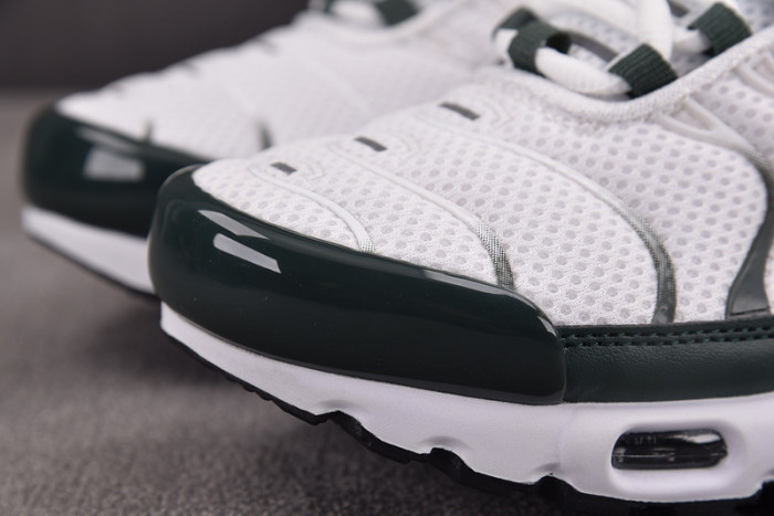 Nike Air Max Plus Premium