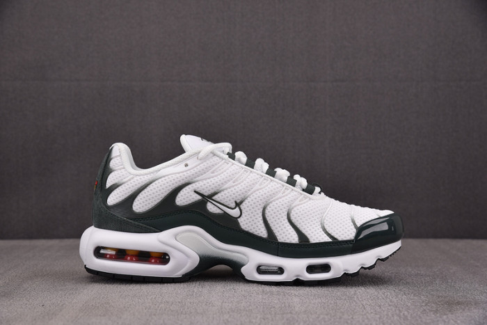 Nike Air Max Plus Premium