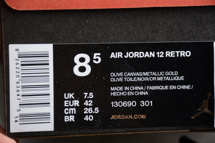 AIR JORDAN 12 RETRO CP3